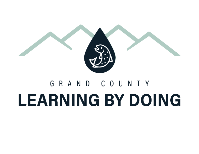 Learning by Doing Logo